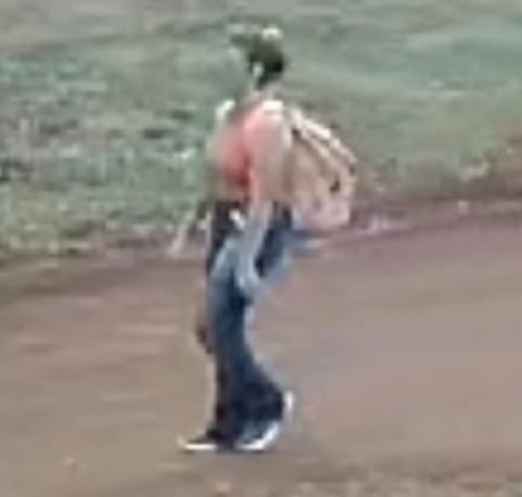 Desaparición de menor: Regresó sana y salva a su casa.