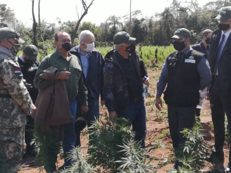 Culminó con éxito la operación conjunta Nueva ALIANZA XXII en el Departamento del Amambay,  ejecutada por la SENAD,  FTC y el MINISTERIO PÚBLICO, con apoyo de la Policía Federal del Brasil.