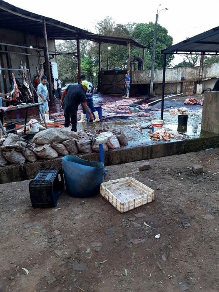 PJC: Imputan a un hombre por irregularidades detectadas en el matadero municipal