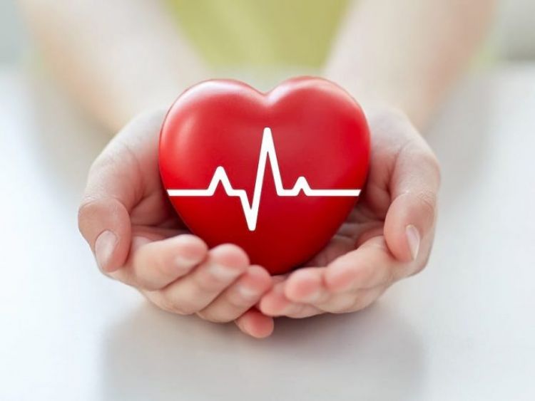 Día Mundial del Corazón: Instan a adoptar hábitos saludables para prevenir enfermedades cardiovasculares