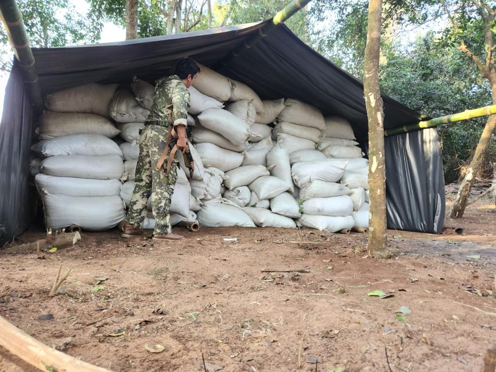 SENAD saca de circulación casi 30 toneladas de marihuana en Bella Vista Norte