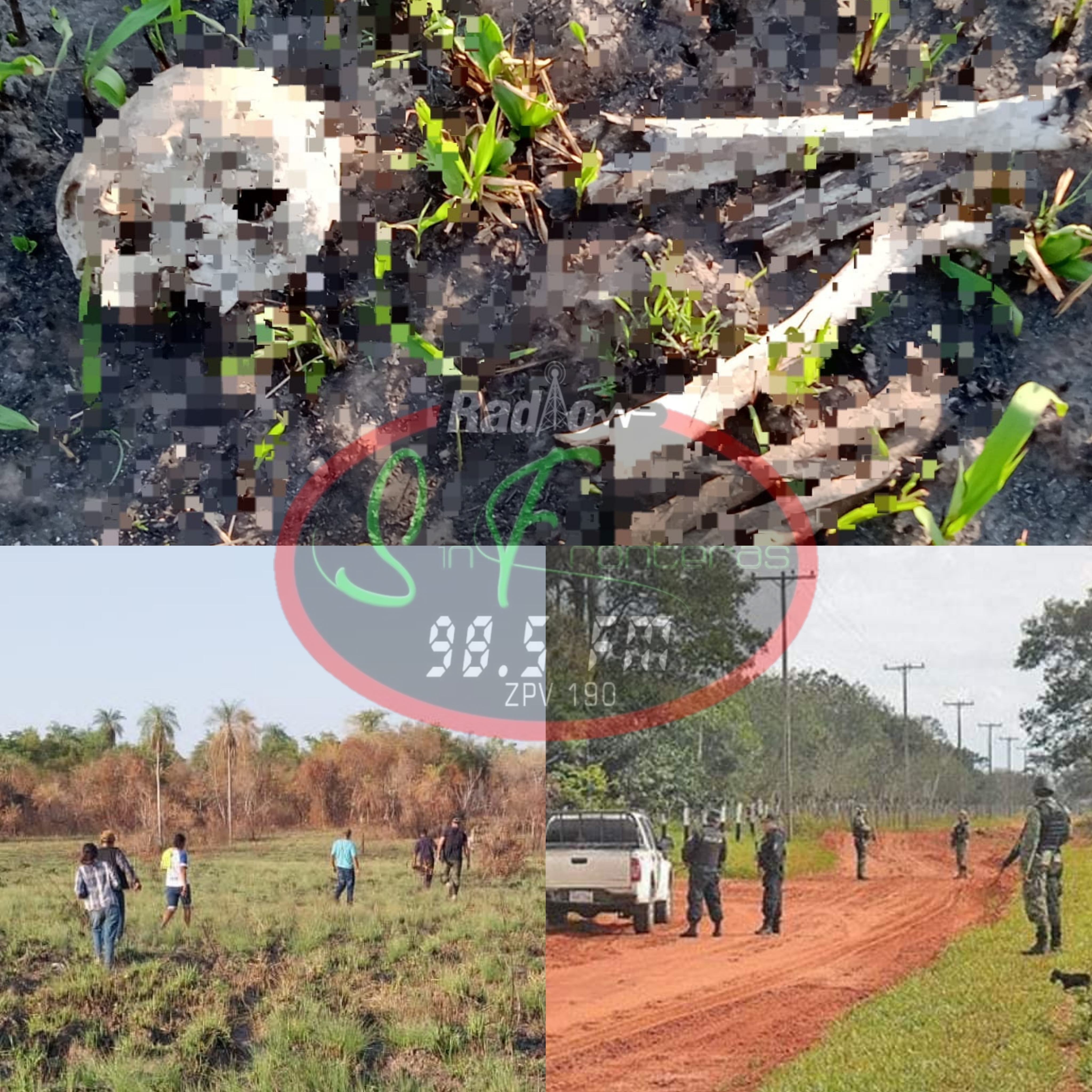 Hallazgo de restos óseos humanos en predio de la Estancia Oliva, en Bella Vista Norte, Departamento de Amambay.