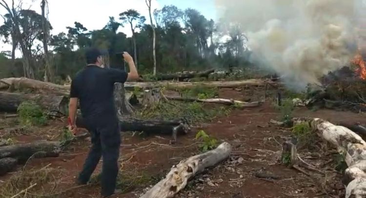 La SENAD destruye campamentos y plantaciones de mariguana en la reserva san Rafael.