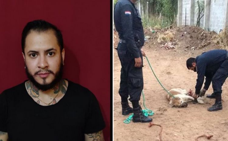 Caso Shelby: Detienen al sospechoso de haber atado y abandonado al perrito en Fernando de la Mora