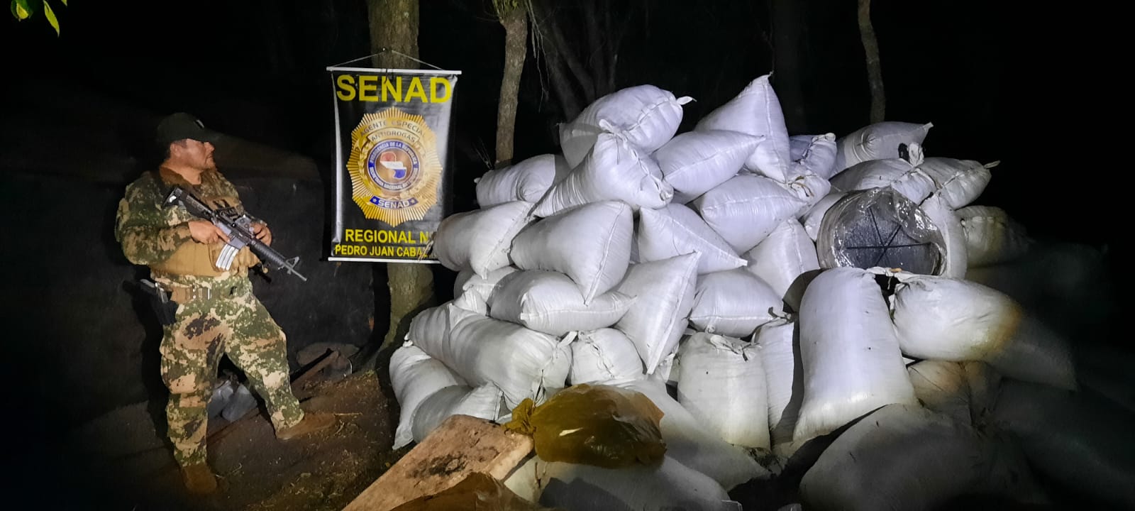 SENAD incautó más de 9 toneladas de marihuana en Amambay
