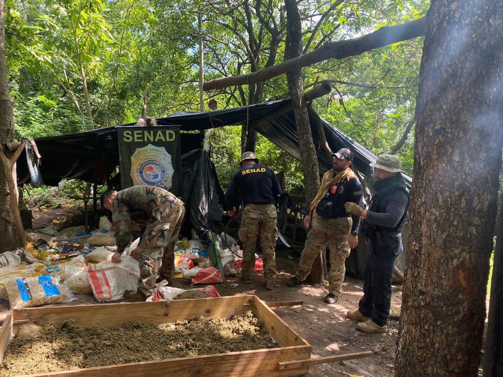 SENAD destruyó 12 toneladas de droga en Concepción