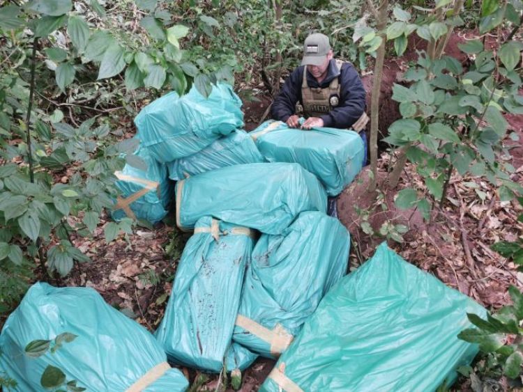 Incautan 337 kilos de marihuana ocultos dentro de una fosa en Yby Yaú