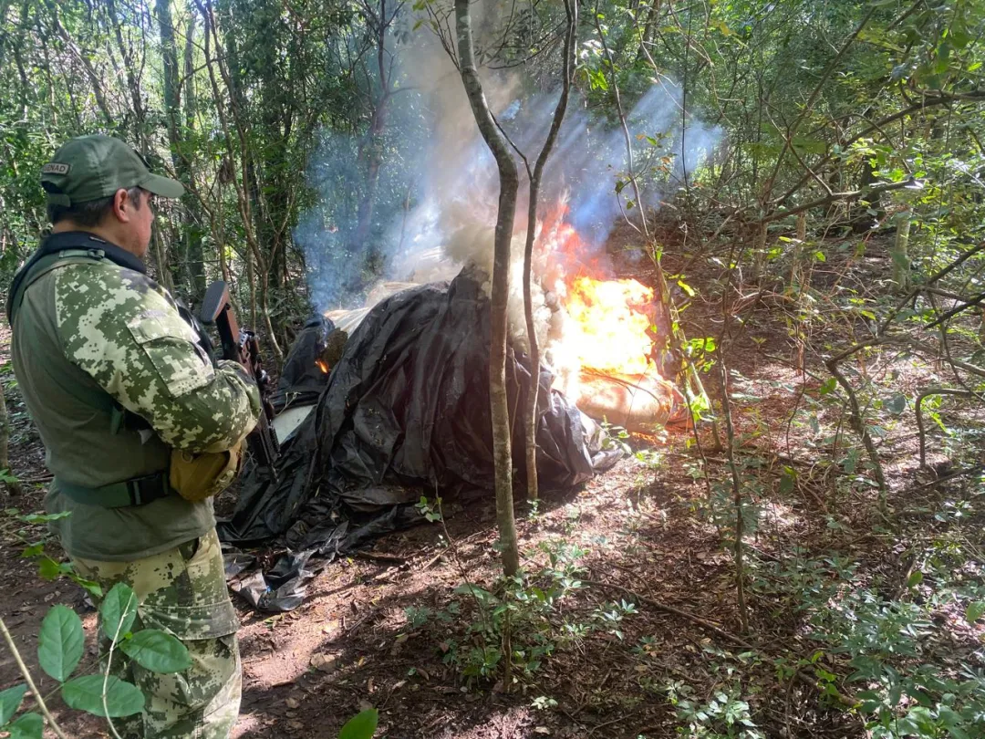 SENAD anuló base de producción narco en Capitán Bado