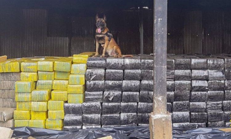 Brasil: Incautan 13 toneladas de marihuana enviada desde Paraguay