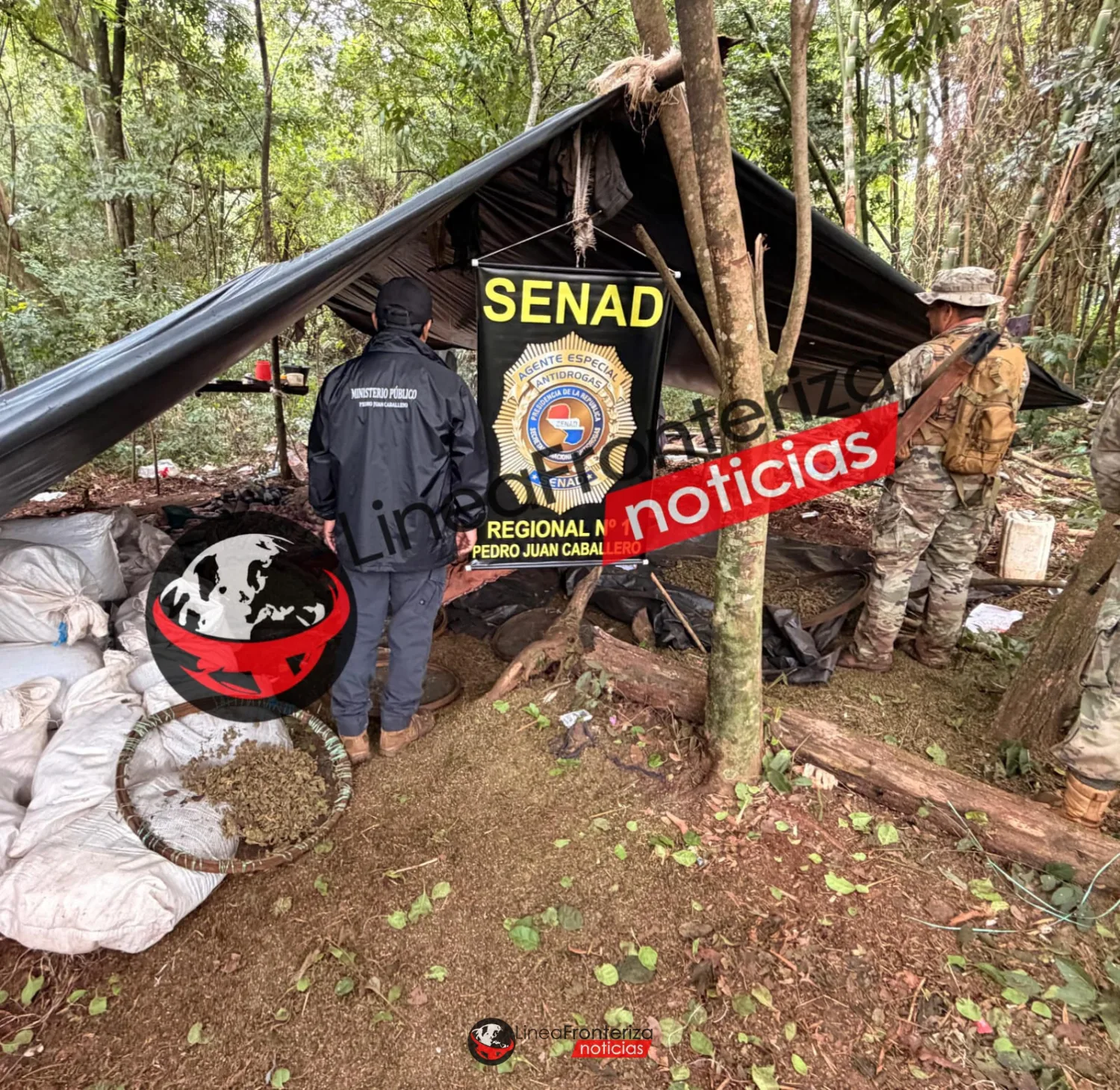 SENAD destruye más de 10 toneladas de marihuana en Cerro Corá