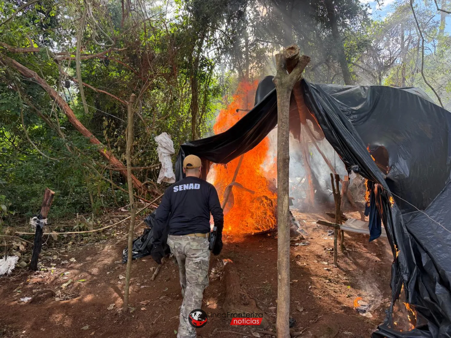 SENAD destruye más de cuatro toneladas de marihuana y campamentos clandestinos en Cerro Corá