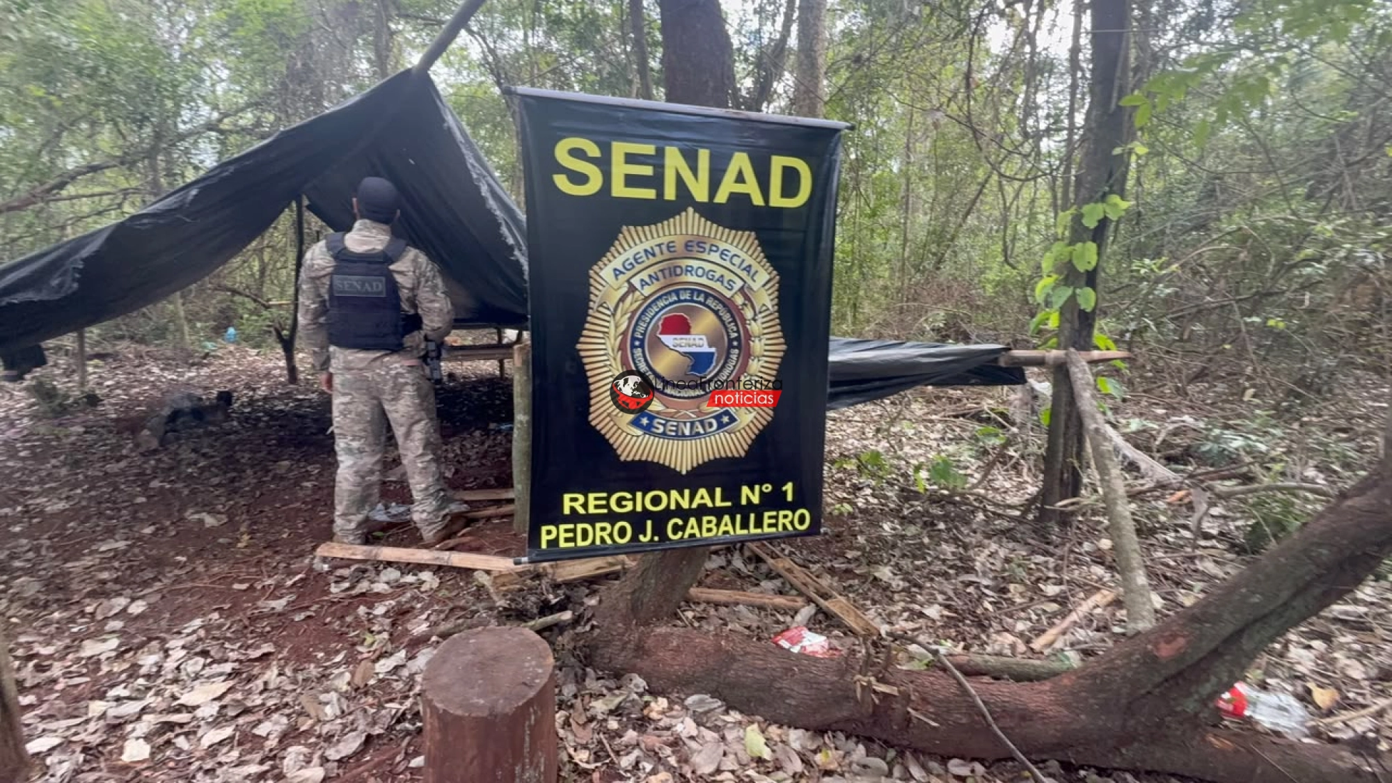 SENAD Y MINISTERIO PÚBLICO GOLPEAN AL NARCOTRÁFICO EN CERRO CORÁ: DESTRUYEN 8 HECTÁREAS DE MARIHUANA