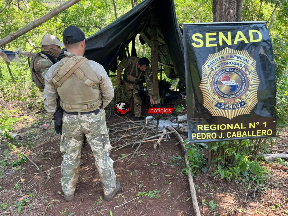 SENAD DESTRUYE MÁS DE 2.700 KILOS DE MARIHUANA A 8 KM DEL AEROPUERTO DE PEDRO JUAN